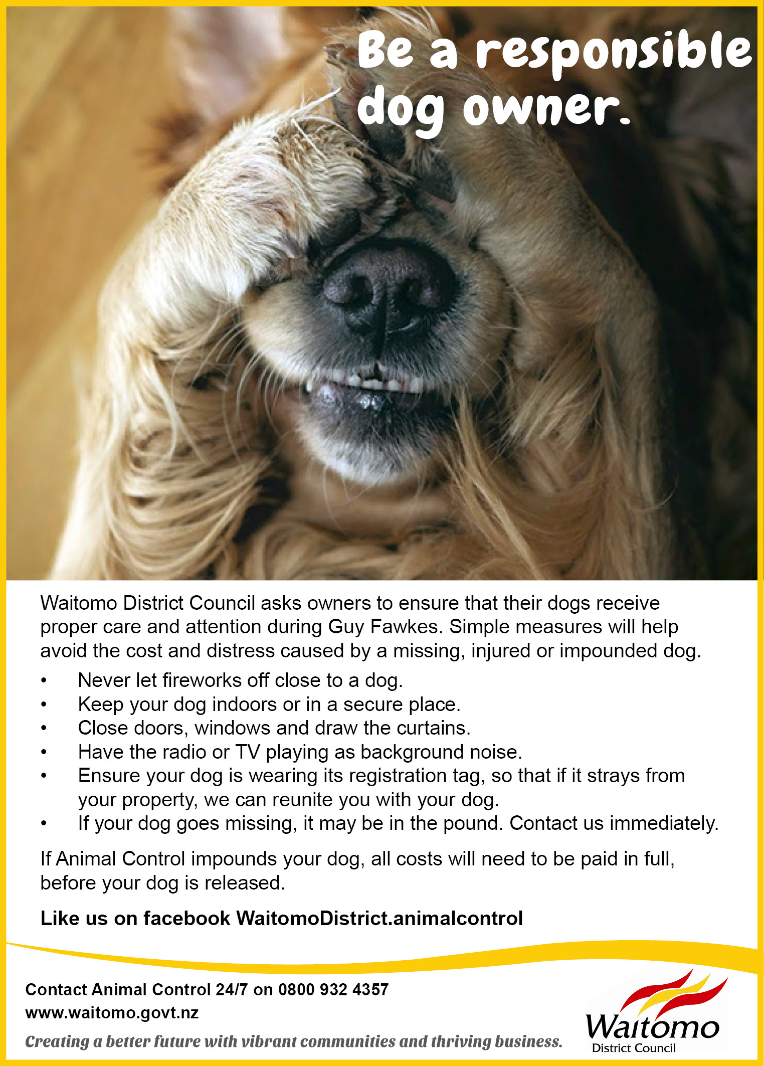 Waitomo District Animal Control_Be a responsible dog owner advert