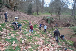 Plantings at Brook Park to honour the late Arthur Cowan